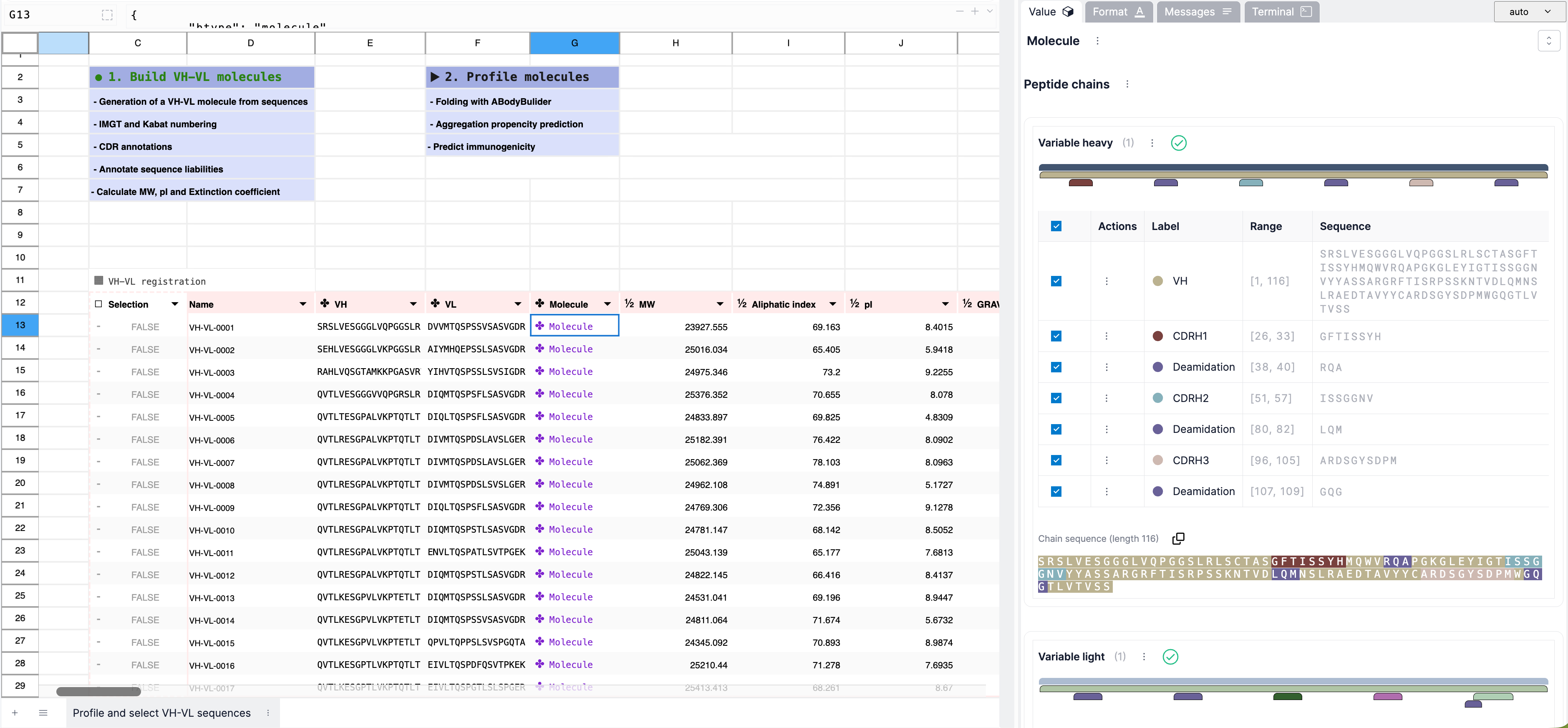 Bionamic workbook showing built VH-VL molecules and sequence annotations